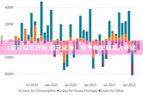 a股可以杠杆吗 国元证券：给予梅安森买入评级