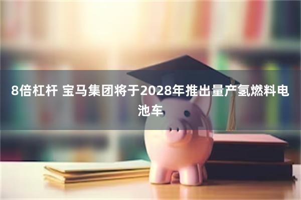 8倍杠杆 宝马集团将于2028年推出量产氢燃料电池车