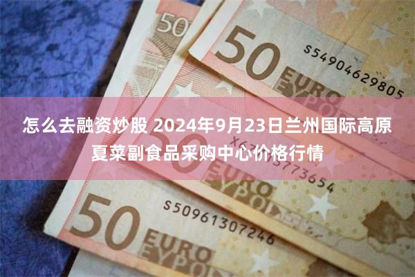 怎么去融资炒股 2024年9月23日兰州国际高原夏菜副食品采购中心价格行情