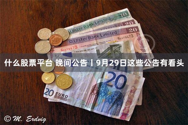 什么股票平台 晚间公告丨9月29日这些公告有看头