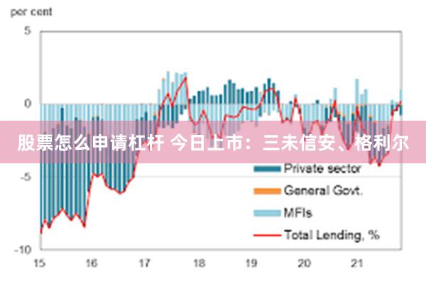 股票怎么申请杠杆 今日上市：三未信安、格利尔