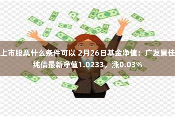 上市股票什么条件可以 2月26日基金净值：广发景佳纯债最新净值1.0233，涨0.03%